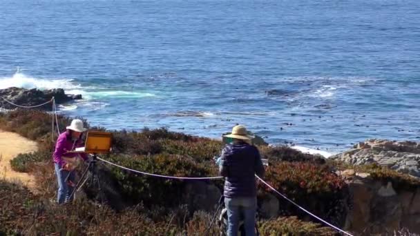 Artistas Não Identificados Oceano Pacífico Garrapata State Park Longo Costa — Vídeo de Stock