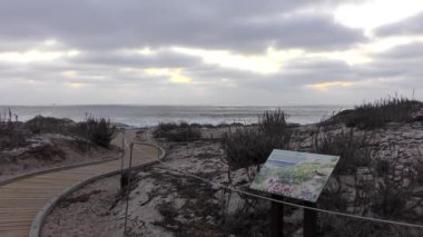 Pasifik Okyanusu Garrapata Eyalet Parkı 'nda Kaliforniya' nın merkez kıyısı boyunca, ABD, 2018