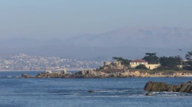 Pasifik Okyanusu Garrapata Eyalet Parkı 'nda Kaliforniya' nın merkez kıyısı boyunca, ABD, 2018