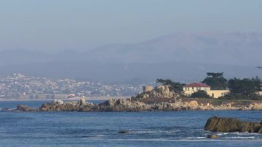 Pasifik Okyanusu Garrapata Eyalet Parkı 'nda Kaliforniya' nın merkez kıyısı boyunca, ABD, 2018