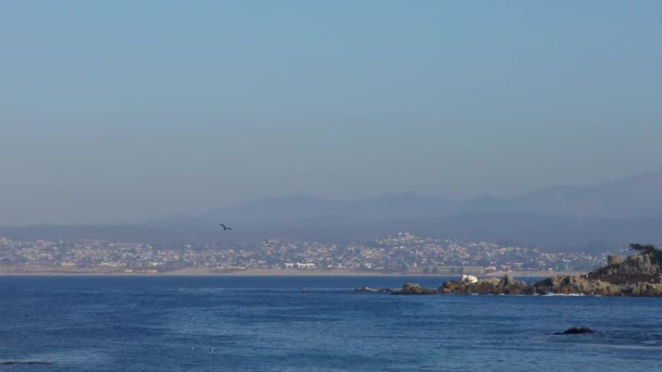 Océan Pacifique Garrapata State Park Long Côte Centrale Californie États — Video