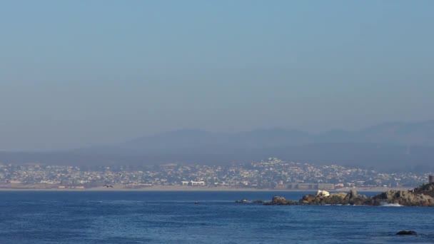 2018 Pacific Ocean Garrapata State Park Californias Central Coast Usa — 비디오