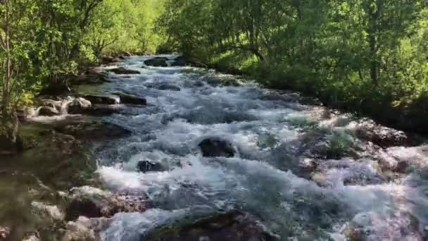 Річка Лісі Північній Норвегії Північ Від Альта 2018 Рік — стокове відео