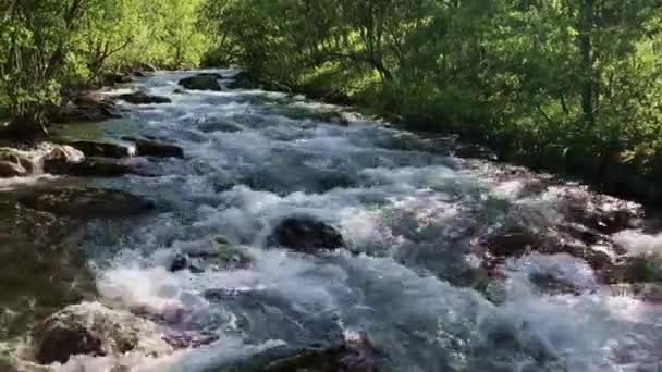 Fluss Wald Nordnorwegen Nördlich Von Alta 2018 — Stockvideo