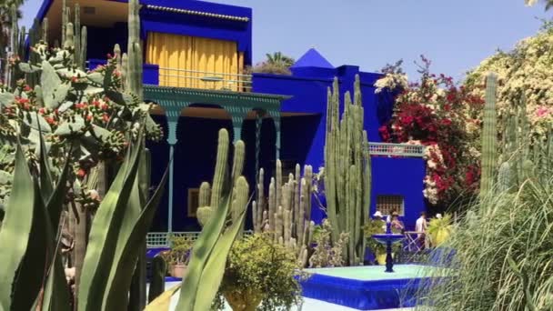 Oidentifierade Personer Majorelle Garden Marrakech Marocko 2018 — Stockvideo