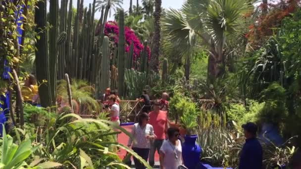 Ongeïdentificeerde Mensen Majorelle Tuin Marrakech Marokko 2018 — Stockvideo