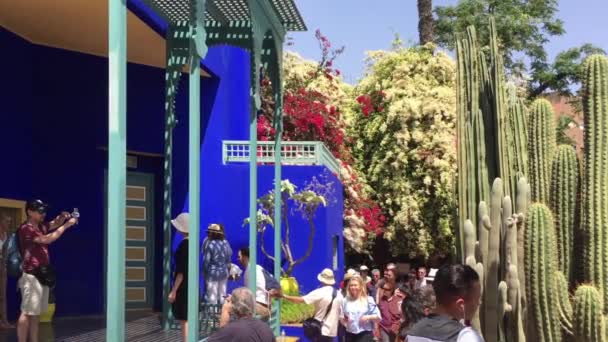 Neidentifikovaní Lidé Majorelle Garden Marrákeši Maroko 2018 — Stock video