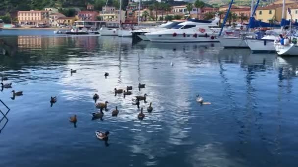 Bastia Korsika Frankreich Yachthafen — Stockvideo
