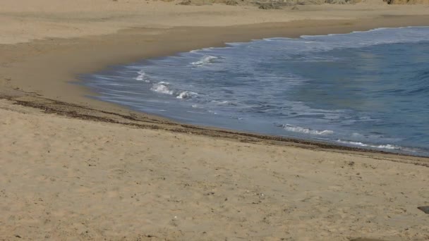Ocean Spokojny Bean Hollow State Beach Hrabstwo Santa Cruz Kalifornia — Wideo stockowe