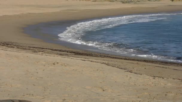 位于加利福尼亚州圣克鲁斯县Bean Hollow State Beach的太平洋 2018年 — 图库视频影像