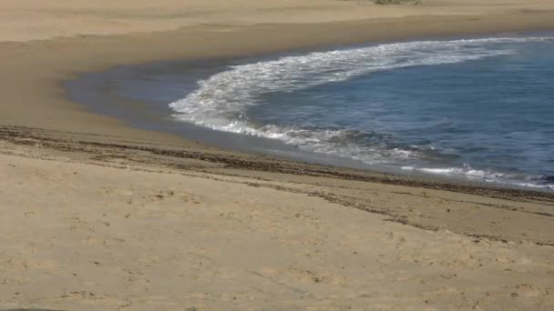 Pacific Ocean Bean Hollow State Beach Santa Cruz County California — стокове відео