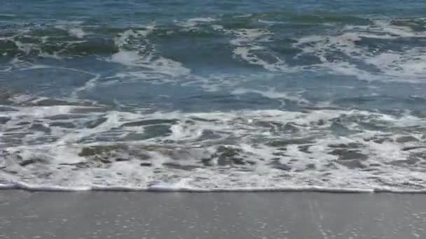 Pacific Ocean Garrapata State Park Κατά Μήκος Της Κεντρικής Ακτής — Αρχείο Βίντεο