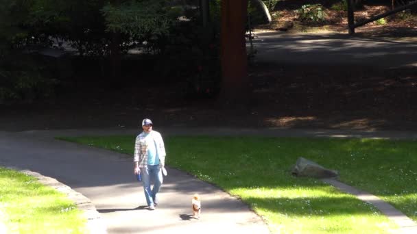 Unidentified People Walking Dogs Sigmund Stern Recreation Grove San Francisco — Vídeos de Stock
