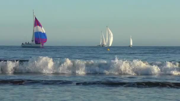 Segeljacht Auf Dem Pazifik Vom Santa Cruz Beach Boardwalk Der — Stockvideo