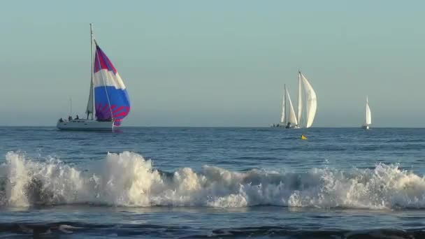 Yate Vela Océano Pacífico Visto Desde Santa Cruz Beach Boardwalk — Vídeo de stock