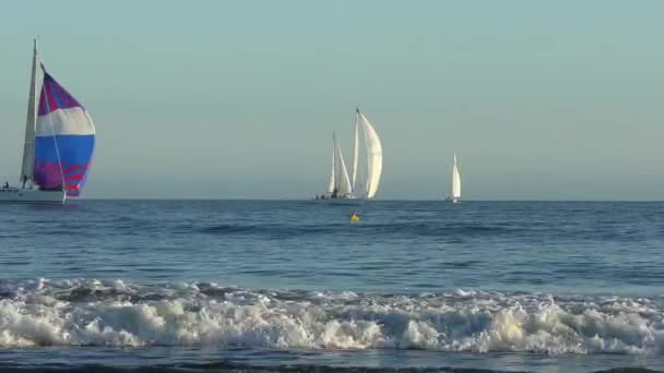Yate Vela Océano Pacífico Visto Desde Santa Cruz Beach Boardwalk — Vídeos de Stock