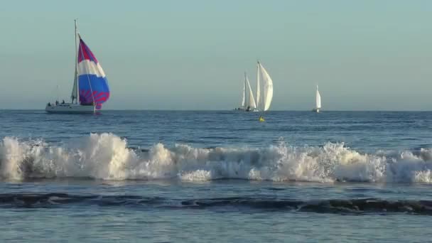 Segeljacht Auf Dem Pazifik Vom Santa Cruz Beach Boardwalk Der — Stockvideo