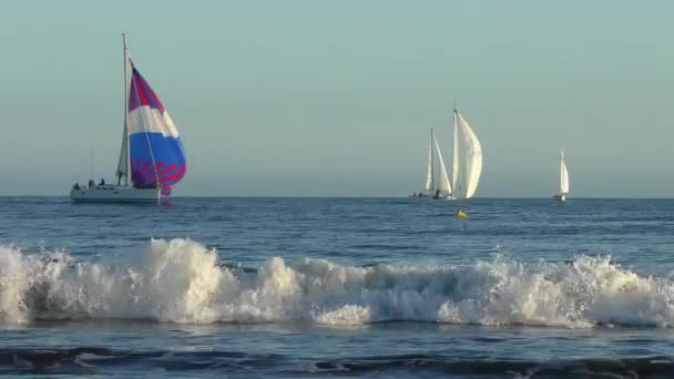 Yate Vela Océano Pacífico Visto Desde Santa Cruz Beach Boardwalk — Vídeo de stock