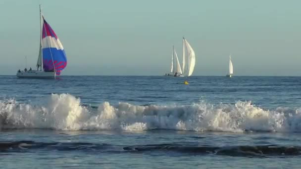 Segling Yacht Stilla Havet Sett Utifrån Santa Cruz Beach Boardwalk — Stockvideo
