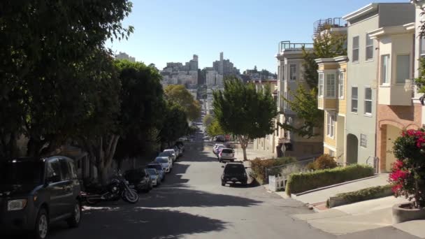 Greenwich Caddesi Nin San Francisco Kaliforniya Daki Telegraph Hill Den — Stok video