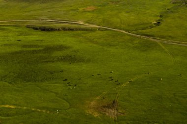 Moğol kırsalının havadan görünüşü, Moğolistan 'ın başkenti Ulaanbaatar' a çok uzak değil.