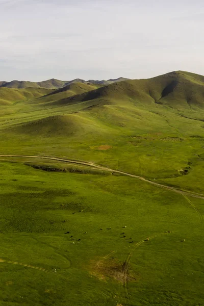 Moğol Kırsalının Havadan Görünüşü Moğolistan Başkenti Ulaanbaatar Çok Uzak Değil — Stok fotoğraf