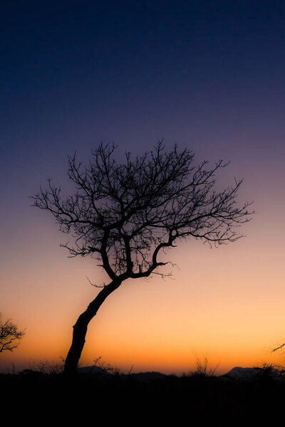 African sunset in the Kruger National Park, South Africa