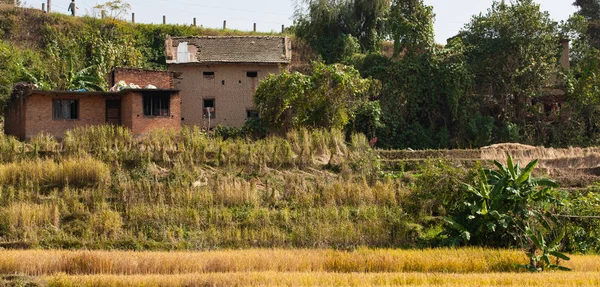 テラス ネパールのブンガマティ村の丘の中腹に栽培 — ストック写真