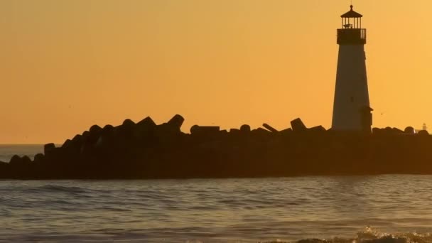 Fyren Santa Cruz Breakwater Alias Walton Vid Solnedgången Sett Utifrån — Stockvideo