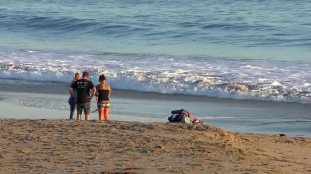 Unidentified People Twin Lakes Beach Santa Cruz Harbor Sunset Northern — Stock Video