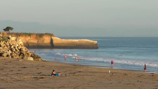 Άγνωστοι Άνθρωποι Στο Twin Lakes Beach Στο Santa Cruz Harbor — Αρχείο Βίντεο