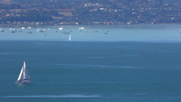 Bahía San Francisco Vista Desde Torre Coit Telegraph Hill San — Vídeos de Stock