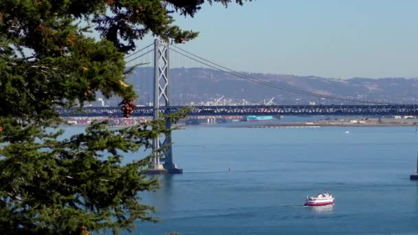 Bay Bridge Seperti Yang Terlihat Dari Telegraph Hill San Francisco — Stok Video