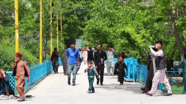 Άγνωστοι Αφγανοί Στον Κήπο Του Μπλε Τζαμιού Στο Mazar Sharif — Αρχείο Βίντεο