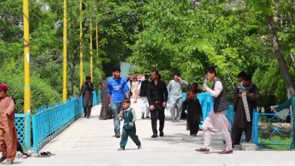 Pueblo Afgano Identificado Jardín Mezquita Azul Mazar Sharif Norte Afganistán — Vídeo de stock