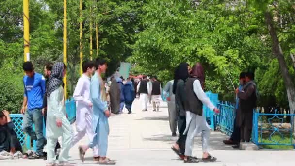 Pueblo Afgano Identificado Jardín Mezquita Azul Mazar Sharif Norte Afganistán — Vídeos de Stock