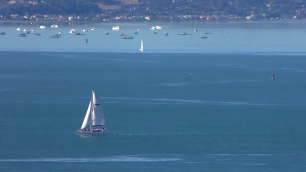 Bahía San Francisco Vista Desde Torre Coit Telegraph Hill San — Vídeo de stock