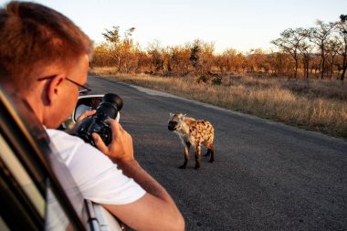 Tanımlanamayan turist, 2009 'da Kruger Ulusal Parkı' nda Benekli Sırtlan fotoğrafı çekiyor.