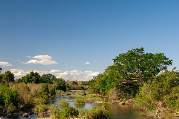 Африканский Ландшафт Национальном Парке Крюгер Юар — стоковое фото