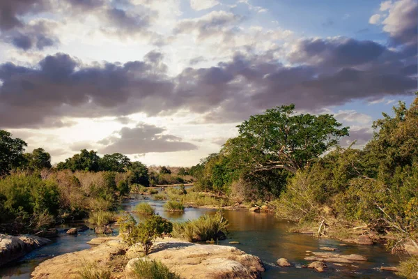 南アフリカのクルーガー国立公園のアフリカの風景 — ストック写真