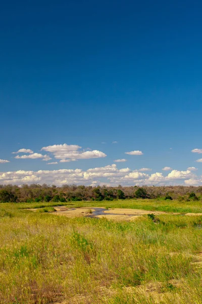 Natuurlandschappen Van Zuid Afrikaans Nationaal Krueger Park — Stockfoto