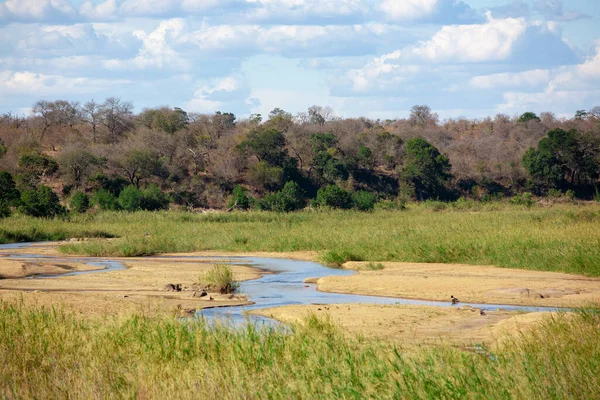 南アフリカ国立クルーガー公園の自然景観 — ストック写真