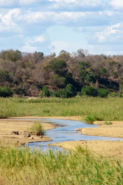 Paisagens Naturais Parque Nacional Sul Africano Krueger — Fotografia de Stock