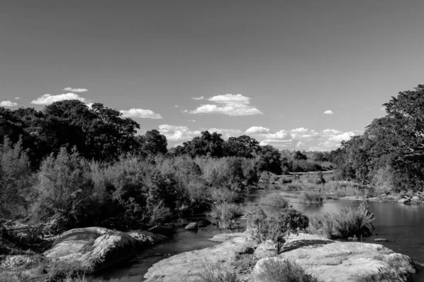 Paysage Africain Dans Parc National Kruger Afrique Sud — Photo