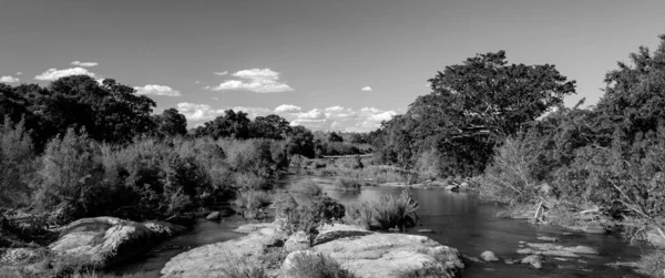 Paysage Africain Dans Parc National Kruger Afrique Sud — Photo