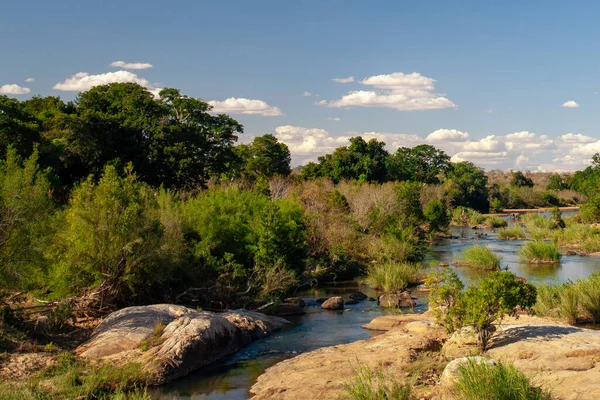 Paesaggi Naturali Del Parco Nazionale Krueger Sudafricano — Foto Stock