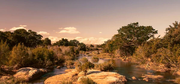 Naturlandskap Sydafrikanska Nationella Krueger Park — Stockfoto