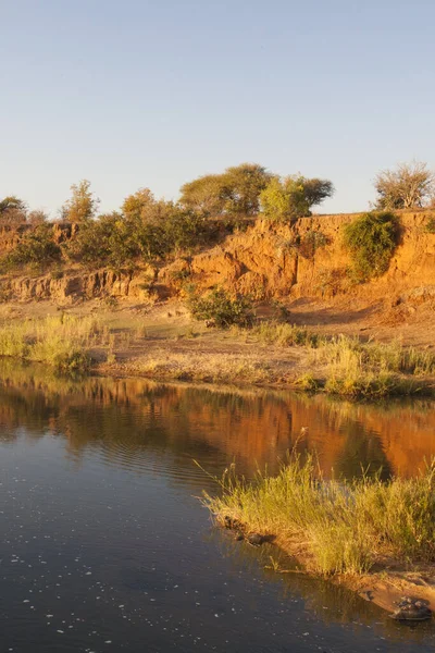 Afrikaans Landschap Het Kruger National Park Zuid Afrika — Stockfoto