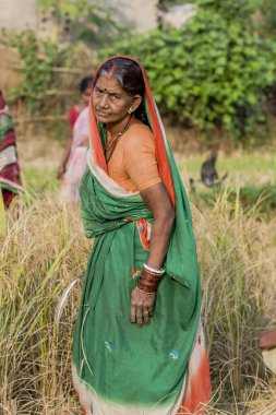 RAXAUL, INDIA: Raxaul, Bihar State, Hindistan 'da tanımlanamayan Hintli kadın, Kasım 2013