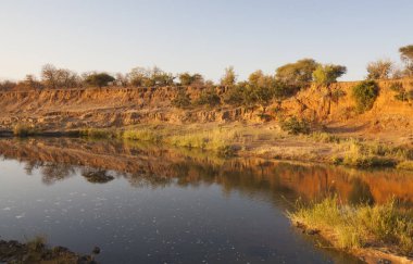 Güney Afrika 'daki Kruger Ulusal Parkı' nda Afrika manzarası